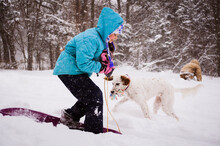 Playful Girl Playing With Dog On Snowy Field During Snowfall