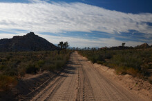 Scenic View Of Dirt Road Amidst Field Against Cloudy Sky At Joshua Tree National Park
