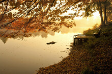 Tranquil View Of Lake By Trees At Park During Autumn