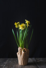 Close-up Of Flowers On Wooden Table Against Black Background