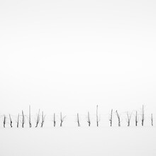 Sticks On Snowy Field Against Clear Sky During Foggy Weather