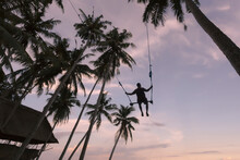 Low Angle View Of Man Swinging On Rope Swing Against Coconut Palm Trees At Beach During Sunset