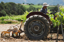Side View Of Farmer Sitting On Tractor At Farm