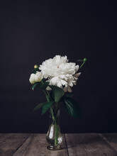 White Flowers In Vase On Wooden Table Against Black Background
