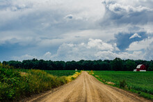 Diminishing Perspective Of Dirt Road Amidst Agricultural Landscape Against Cloudy Sky