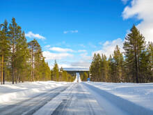 Diminishing Perspective Of Snow Covered Road Amidst Trees Against Blue Sky In Forest