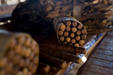 Packages Of Hand Made Cuban Cigars With Tobacco Leaves
