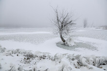 Ice Fog Near A Pond In Tioga, ND
