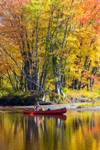 A Man Canoes Through Shallow Water In A Maine River. Fall.