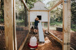 © Cavan Images - Young boy reaching into chicken coop