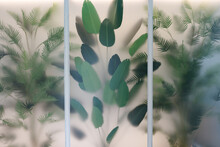 Green Leaf Flies Visible Through An Opaque Glass Window