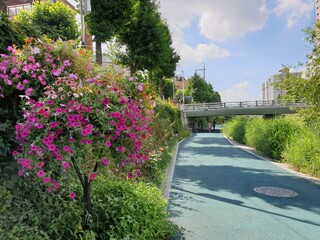 Wall Mural - path in the park