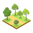 © Alfazet Chronicles - Park alley with big trees isometric 3D icon. Decorative plant and green grass vector illustration. Nature map element for summer parkland landscape design.