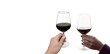 hand holding wine glass in vineyard