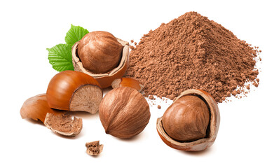 Wall Mural - Whole and peeled hazelnuts with cocoa powder pile isolated on white background