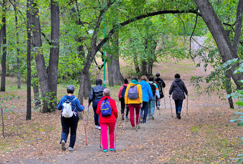 Women are engaged in Scandinavian walking in the alley of the park on an autumn morning