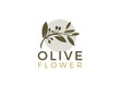 nature herbal olive oil plant, olive leaf flower logo design
