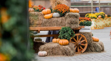 Decorative Pumpkins From The Golden Autumn Festival In Moscow, Near Red Square, The Kremlin. Halloween Decor With Various Pumpkins, Autumn Vegetables And Flowers. Harvest And Garden Decoration.