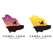 creative camel logo with slogan template