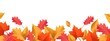 Autumn seasonal background with long horizontal border made of falling autumn golden, red and orange colored leaves isolated on transparent background. Hello autumn png illustration
