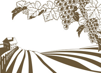 Wall Mural - Vineyard Grapevine Farm Illustration