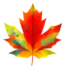 Wall Mural - Multicolored maple tree leaf sut out, digital illustration
