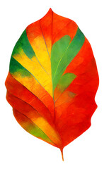 Wall Mural - colorful autumn tree leaf cut out, digital illustration