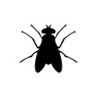 Fly Icon Silhouette Vector Illustration On White Background. Fly vector icon on white background. Flat vector fly icon symbol sign from modern animals collection for mobile concept and web apps design