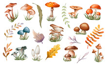 Watercolor Autumn Mushroom Clipart. Collection Of Autumn Forest Composition With Mushrooms, Plants. Botanical Illustration. Isolated.