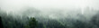 Leinwandbild Motiv Amazing mystical rising fog forest trees landscape in black forest ( Schwarzwald ) Germany panorama banner  - Dark mood..