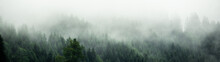 Amazing Mystical Rising Fog Forest Trees Landscape In Black Forest Blackforest ( Schwarzwald ) Germany Panorama Banner  - Dark Mood..