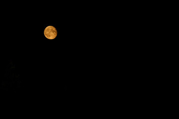 Wall Mural - Waning Moon. Dark sky. Space for copy.