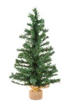 Christmas Tree Isolated At Transparant  Background