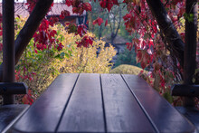 Beautiful Wooden Gazebo Entwined With Autumn Leaves. Element Of Landscape Architecture In The Park.