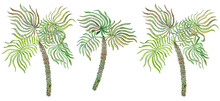 Set Of Watercolor Painted Savannah And Jungle Plants. Hand Painted Palm Tree, Leaves, Isolated On A Transparent Background