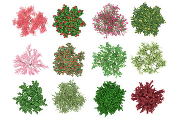 Wall Mural - pack of png vegetation. +6k. generic bushes made from 3d model for compositing
