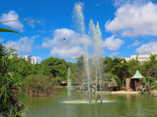 Beautiful Fountain In The Pond And Nature In Kiryat Motzkin Zoo, Israel.