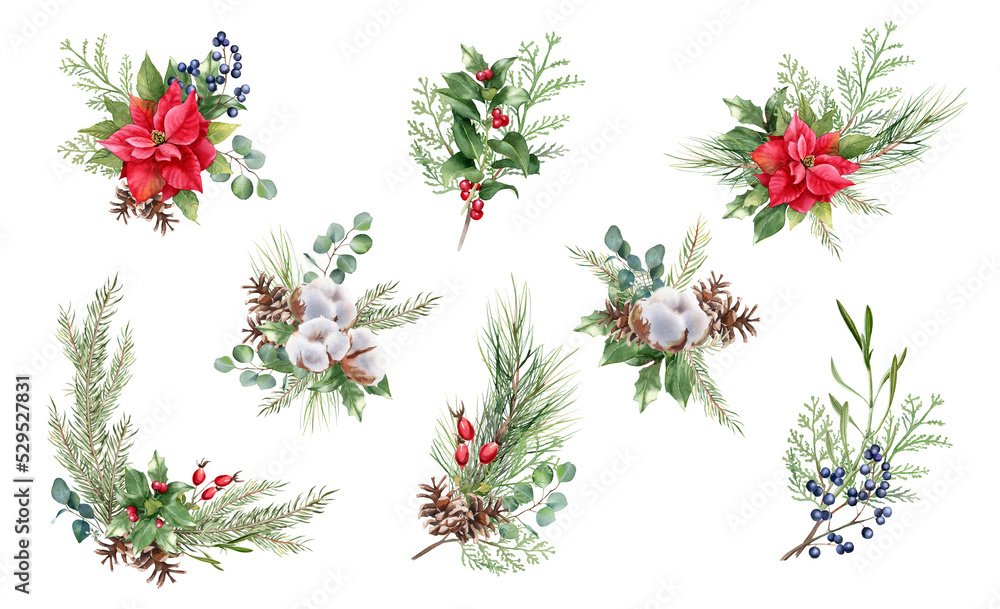 Watercolor floral Christmas set. Hand drawn winter bouquets isolated on ...