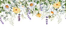 Watercolor Wild Flower Seamless Border. Repeating Pattern.  Daisy, Calendula, Lavender,  Eucalyptus Branches And Leaves Garland. Summer Floral Frame For Greeting Cards And Invitations