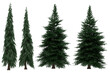 © Govinda - Pack of PNG vegetation. +6K. Generic Pines. Made from 3D model for compositing