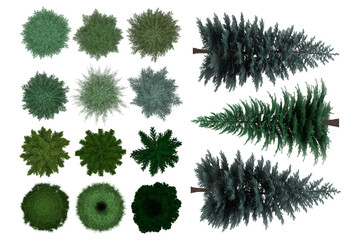 Wall Mural - pack of png vegetation. +6k. generic pines. made from 3d model for compositing