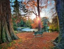 Breathtaking View Of A Park With A Bench And A Lake In Fall