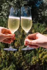 Wall Mural - Female and male hands holding two glasses with sparkling white wine close-up