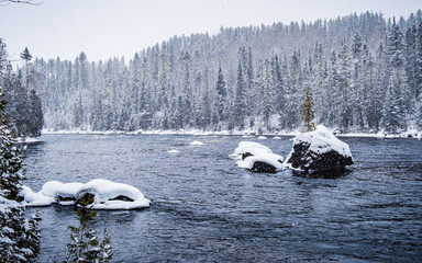 Wall Mural - Winter wonderland landscape near Chute-Aux-Galets. River flowing between pine trees covered with snow on snowfall winter day near Saguenay (Quebec, Canada)