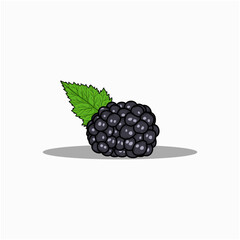 Wall Mural - blackberry on a white