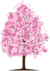 Sticker - pink cherry blossom