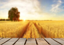 Wooden Table Top On Blur Wheat Field Background In Daytime.Harvest Rice Or Whole Wheat.For Montage Product Display Or Design Key Visual Layout.View Of Copy Space.