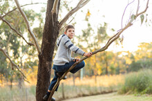 Happy Young Country Kid Climbing Up Gum Tree In Paddock On Winter Afternoon