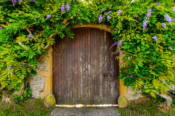 Wall Mural - Beautiful gate with natural lining at Ternand village in France