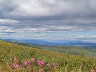 Canvas Print - Wide and expansive Yukon landscape with moody overcast sky